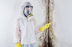 Best Biohazard Mold Removal  in USA